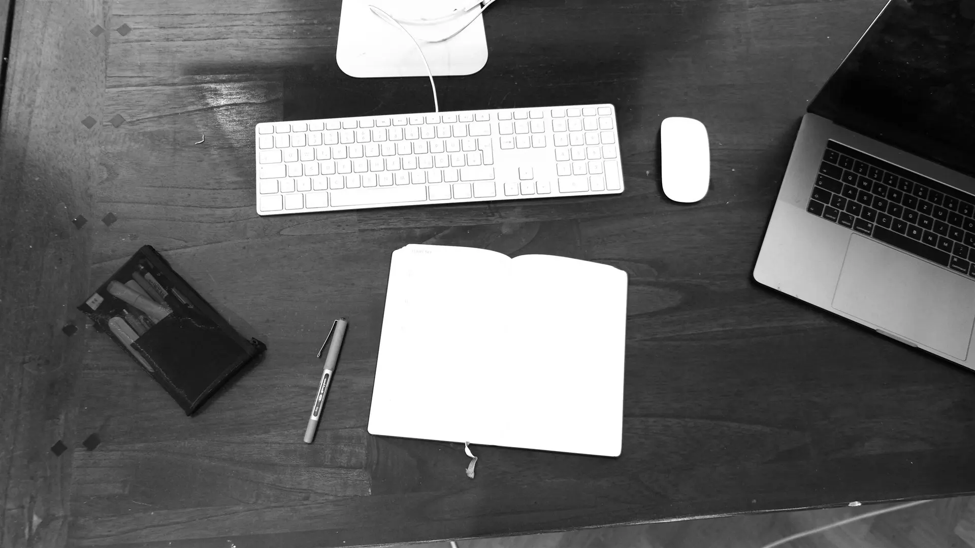 SEO support specialist managing metadata, page structure, internal links and search-friendly content.